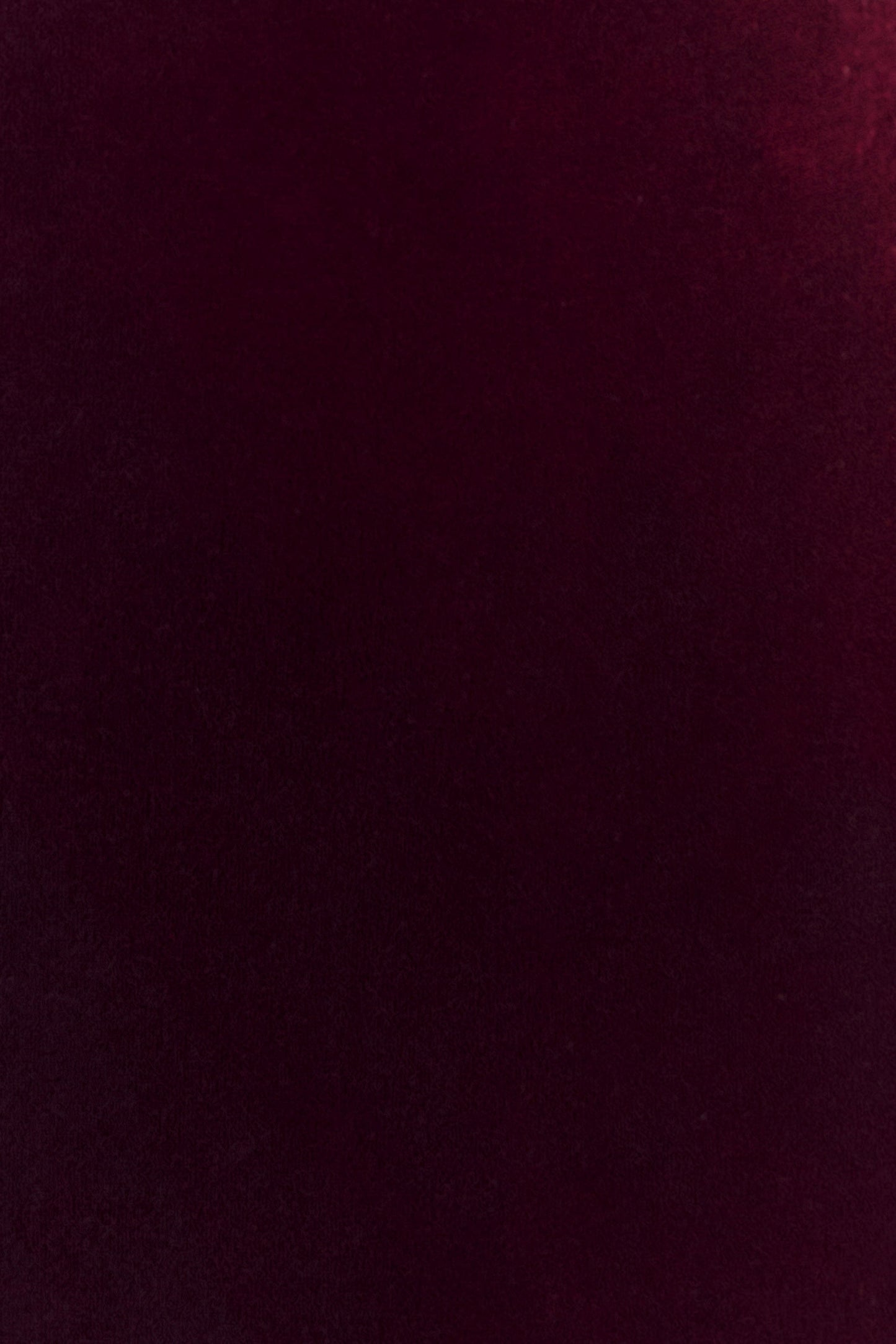 Paulina Velvet Strapless Mini Dress - Wine
